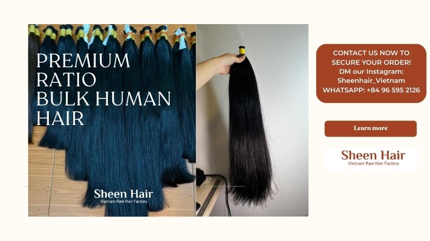 Premium Human Hair Bulk with High-Ratio Thick Ends: Why Professionals Choose Raw Hair from Sheen Hair Vietnam