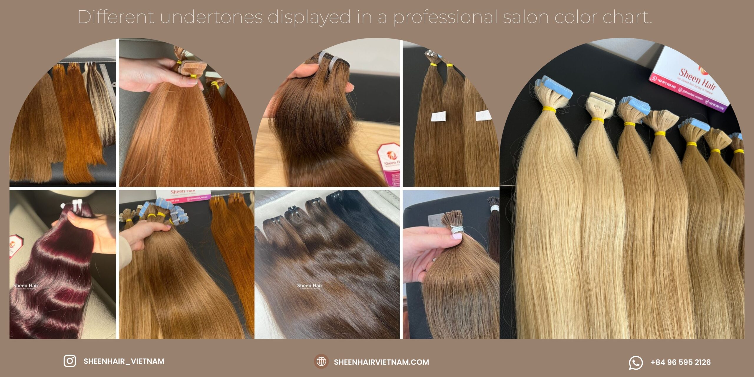 Hair color chart for salon