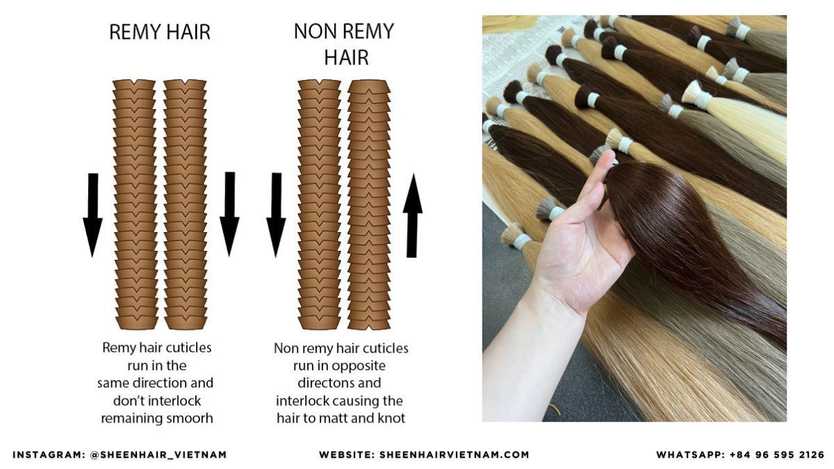 Cuticle Aligned Hair